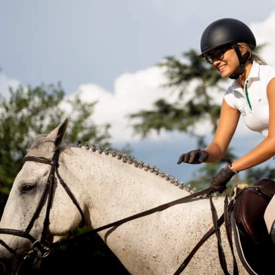 Caballo de raza pura