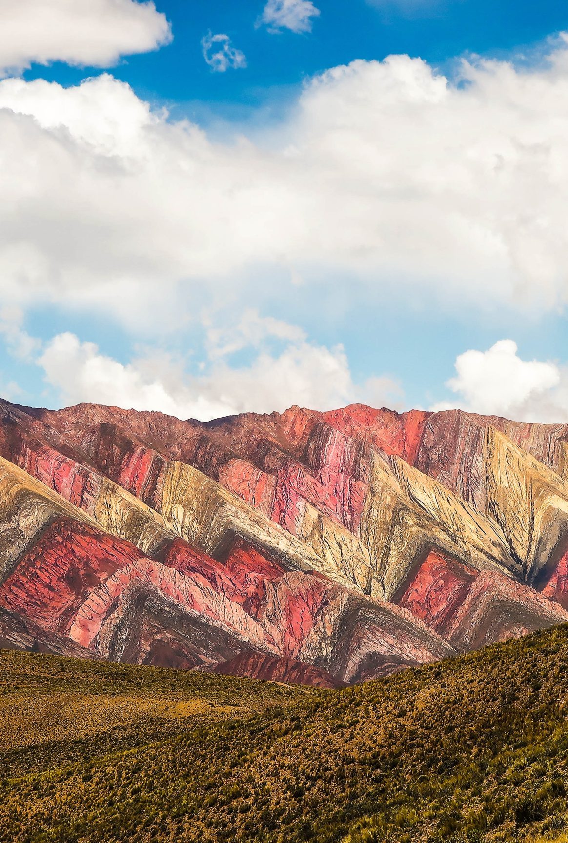 hornocal-scaled-e1682464217552.jpg