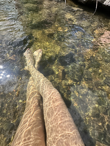 Photo from customer review